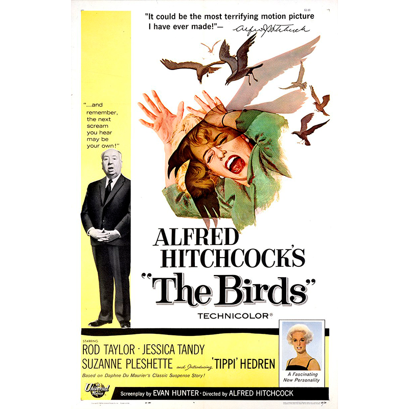 Birds, The (1963)