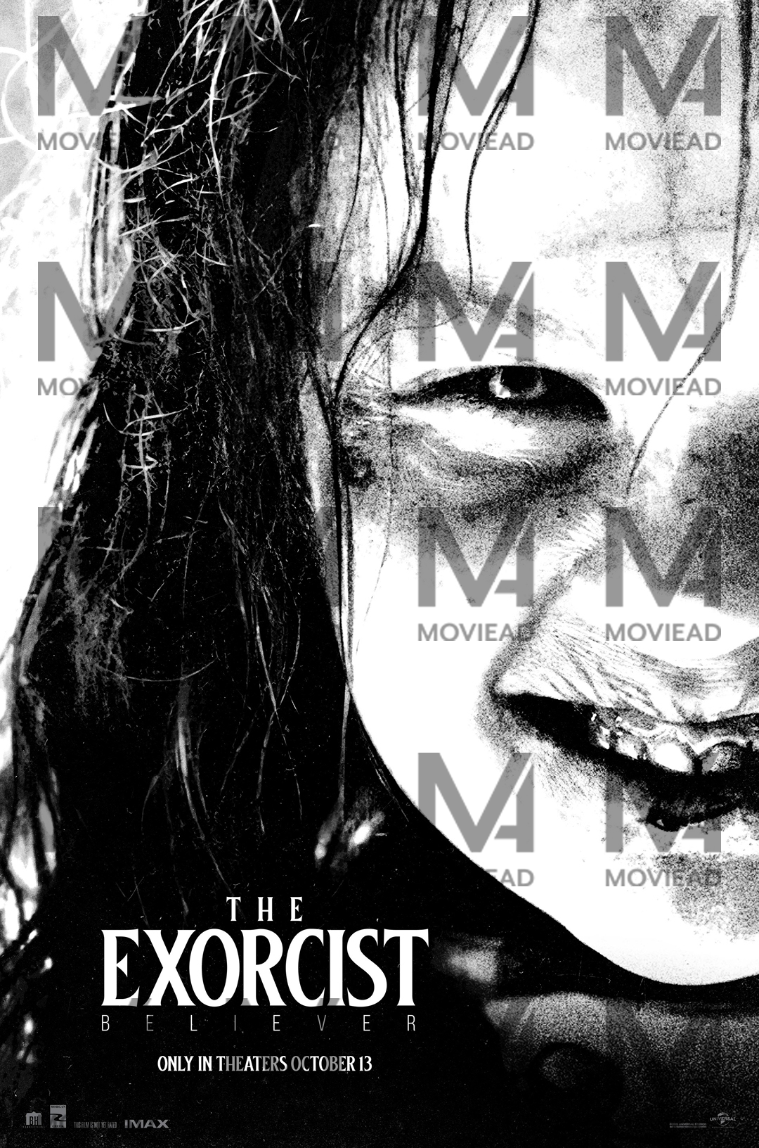 Exorcist Believer, The (2023)
