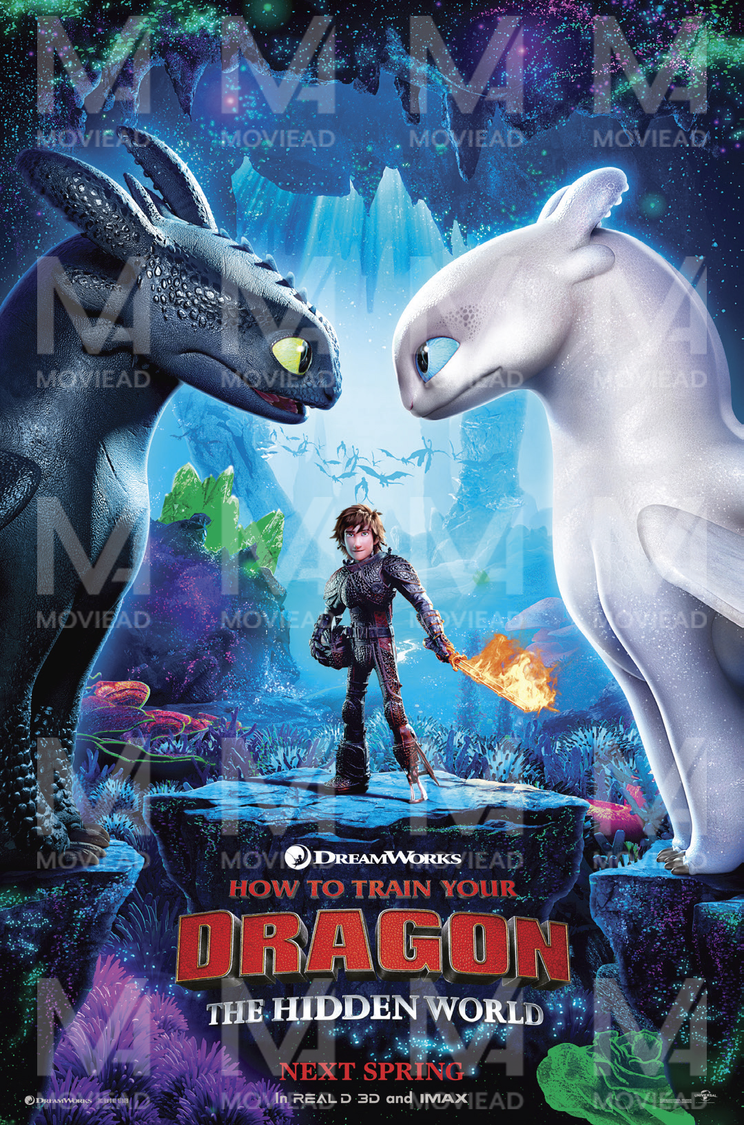 How to Train Your Dragon The Hidden World