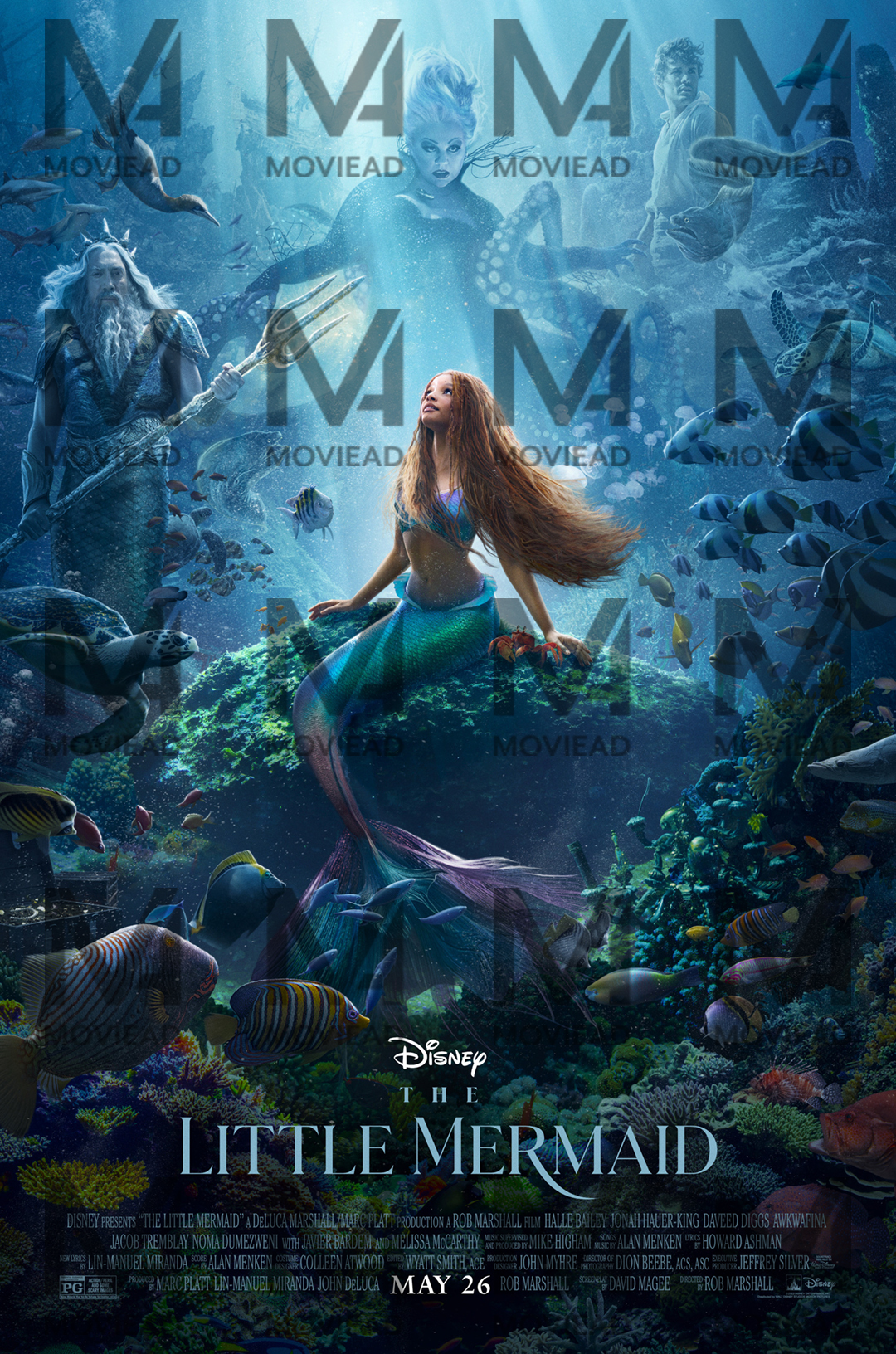 The Little Mermaid (Live Action)