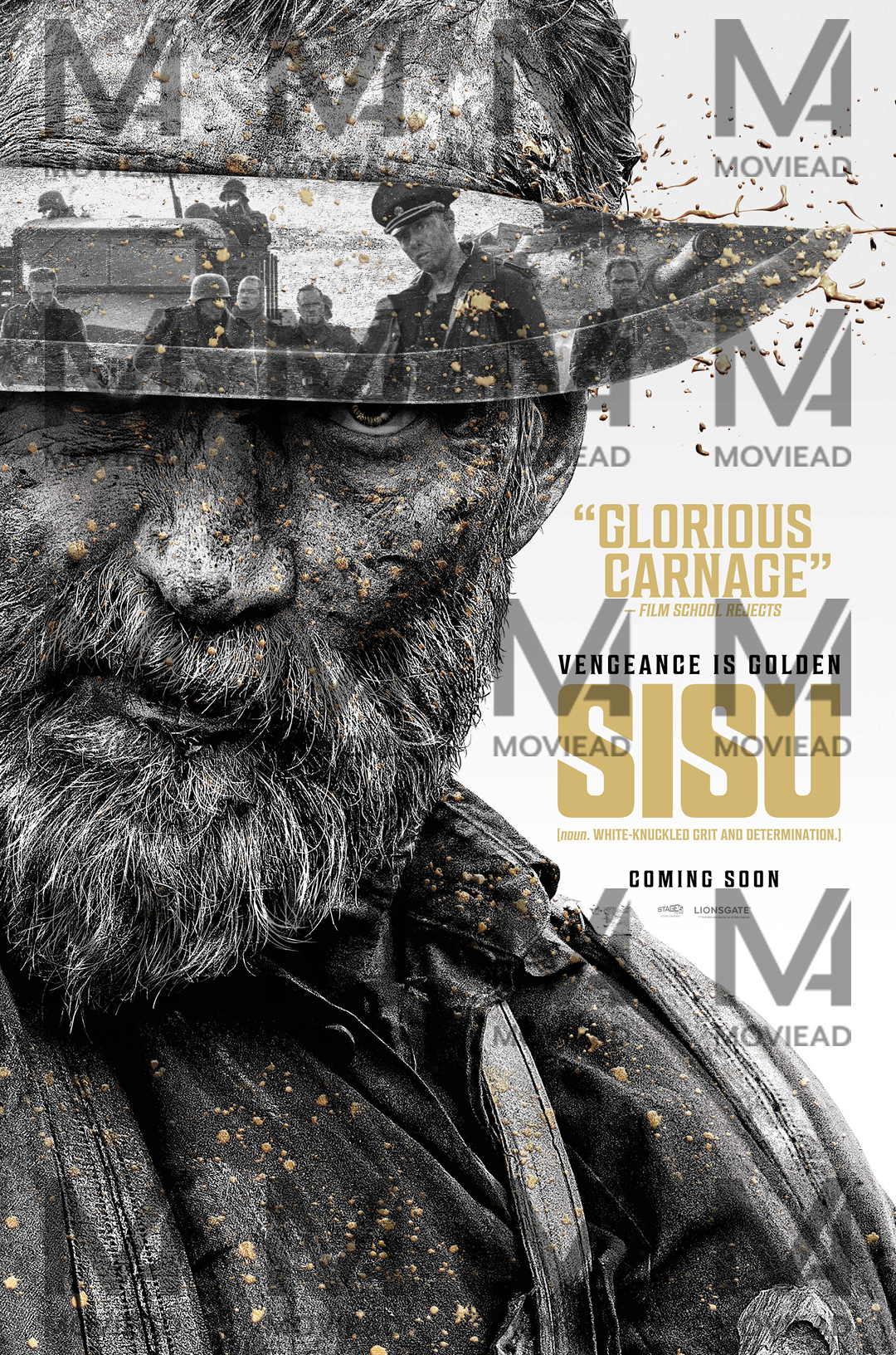 Sisu