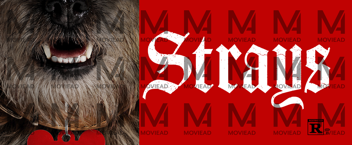 Strays