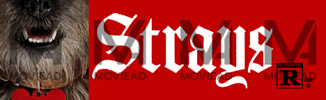 Strays