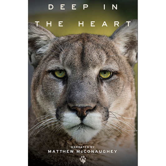 Deep in the Heart: A Texas Wildlife Story